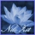 :iconnilie-zit: