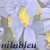 :iconnilnbleu: