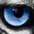 :iconnilsjphotography: