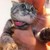 :iconnimao6: