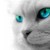 :iconNimFy: