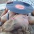 :iconnimphy012: