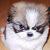 :iconnimrodsson: