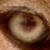 :iconnimrodwolf: