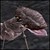 :iconNina-the-Tiny: