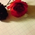 :iconninab-art: