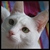 :iconninapixel: