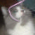 :iconninchic: