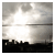 :iconnindewings: