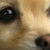 :iconninehundredtwo: