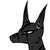 :iconninetailedfoxkyuubi: