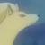 :iconninetales4ever: