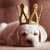 :iconnini1396: