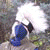:iconninja-chi: