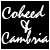 :iconninja-mystic: