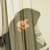 :iconninja-owl: