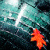:iconninja-war-5: