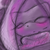 :iconninjaahh:
