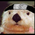 :iconninjaaotter: