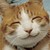 :iconninjacat-lol:
