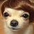 :iconninjachop: