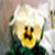 :iconninjacorn: