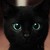 :iconninjakitty28: