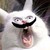 :iconninjakittylovesyou:
