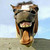 :iconninjallama59: