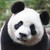 :iconninjarisa: