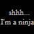 :iconninjasinstilettos:
