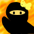 :iconninjaslipper: