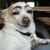:iconninjasstolemypants: