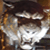 :iconninjawayne05: