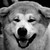 :iconninjaxwarrior: