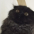 :iconninluvs-shm: