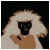 :iconninmonkeys: