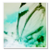:iconninnay: