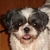 :iconninnypooh: