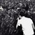 :iconninouille-nicon: