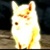 :iconNintendo-Gamer: