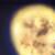 :iconnintendog1rl: