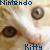 :iconnintendokitty: