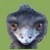 :iconninui2010:
