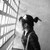 :iconniory1612:
