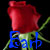 :iconnipntuck3: