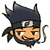 :iconnir-elimelech: