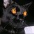 :iconnira412:
