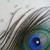 :iconniranjan07: