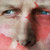 :iconnirufe: